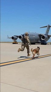 Elite Military K9 Storms the Flight Line Toward a C-17 Globemaster III 🇺🇸🐾