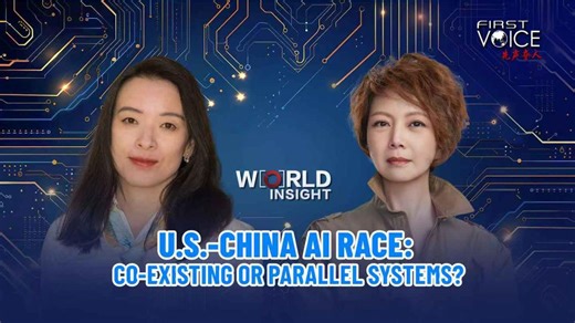 U.S.-China AI Race: Co-existing or parallel systems?