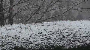 WOW: Our FOX 5 I-Team captured this amazing time-lapse video of snow falling outside of our studios. We want to see your snow pics! Share by using #FOX5SNOW and we might put them on TV! Winter Storm Advisory: http://bit.ly/2AyQw91 DOWNLOAD the FOX 5 Storm Team app: FOX5Atlanta.com/storm Closings/cancellations: FOX5Atlanta.com/closings | FOX 5 Atlanta