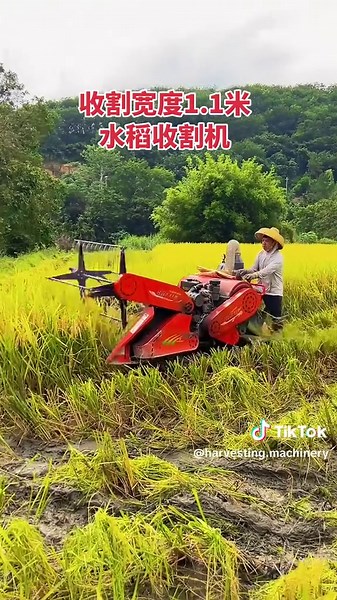 #harvester #rice #miniharvester #riceharvester #smallharvest #wheat #soybeans