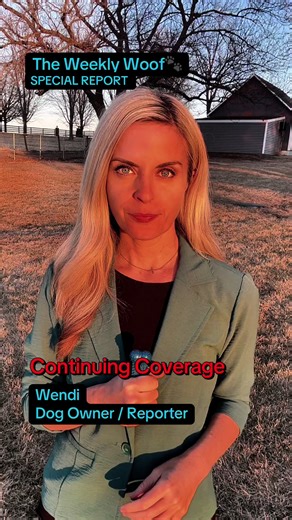 Follow-Up on Kennel Training Accusations: The Story Continues