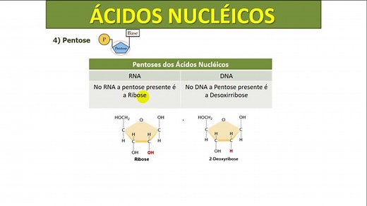 Ácido Nucleico: o que são, os tipos, resumo - Planeta Biologia