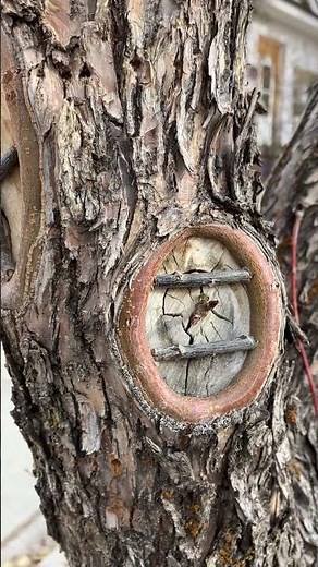 Enchanting Fairy Treehouse Build.