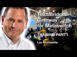 Tmedia for Metaswitch Training Part 1 - TelcoBridges Overview and Products