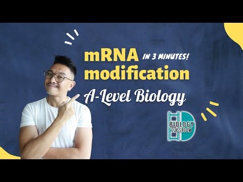 A-Level Biology - Understand mRNA modification in 3 minutes!