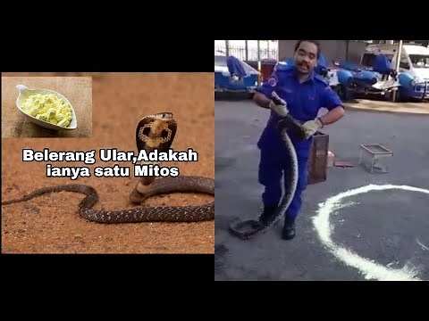 Is Snake Sulfur really a myth?