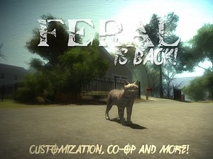 CO-OP, Customization and more! news - Feral