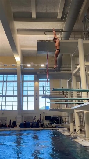 3m spring board Diving #diving #olympicsport #worldaquatics