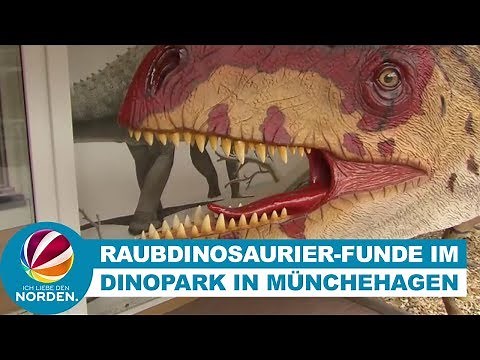 Sonderausstellung im Dinopark in Münchehagen