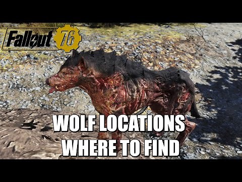 Fallout 76 | Wolf Location | Where To Find