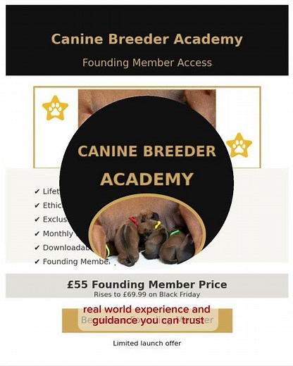 Canine Breeding Academy: Professional Training for Dog Breeders