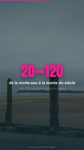Le coefficient de marée : ce chiffre que seuls les Français regardent avant d'acheter 📈 #Shorts