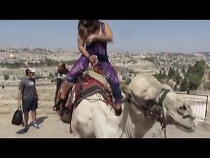 Mount of Olives, camel riding with the most important scenery in the world - Jerusalem