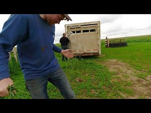 Cole got splattered with poo 💩😂