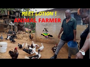 MEET AN AMAZING ANIMAL FARMER | JAMAICAN FARMER | MANCHESTER | COBBLA | MILE GULLY |JAMAICA VLOG