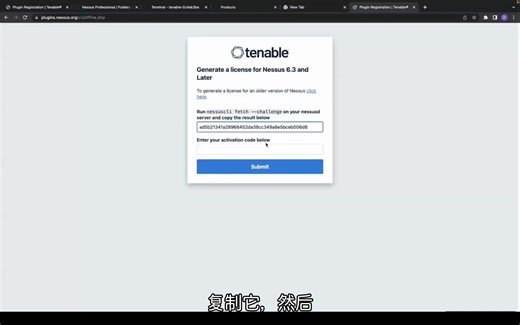 使用Nessus Professional离线更新插件