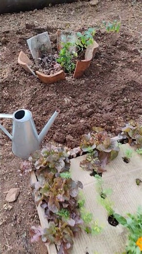 Lasagna bench padded with cardboard #lasagnabench