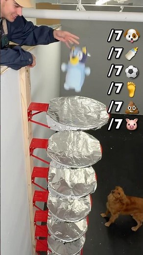 What Will Make It Through the Tin Foil?