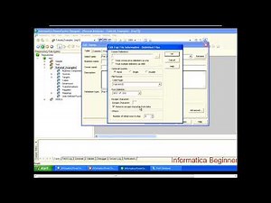 Video 3 Informatica Tutorial Source and Target Instances