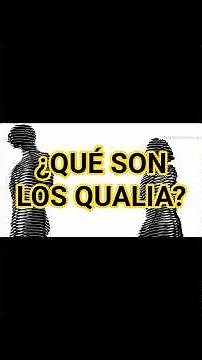 ¿QUÉ SON LOS QUALIA?
