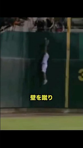 ボールガールのスーパーキャッチ #野球 #メジャーリーグ
