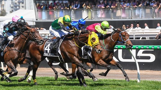 Melbourne Cup ultimate guide 2025: How much last place gets and who is firming in betting