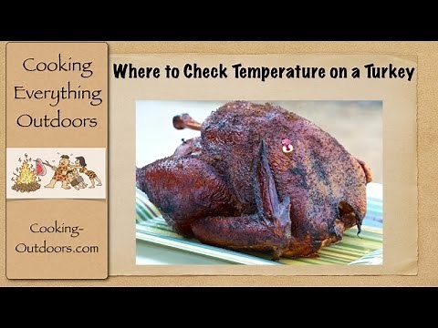 Where to Check Temperature on a Turkey | Easy Grilling Tips