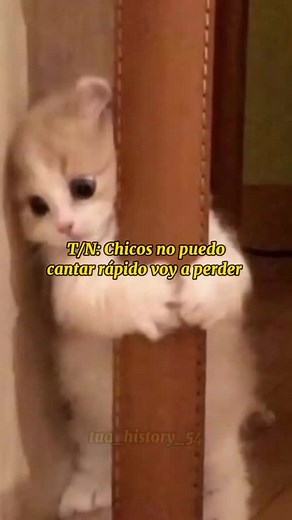 #pov Los Hargreeves en un Karaoke #hargreeves #tn #povs #viral #fyp #sing