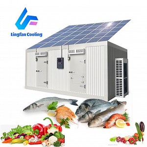 [Hot Item] 2022 New Style Cold Room Frozen Room Solar Power Cold Storage Ferrze