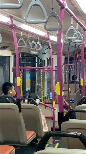 SBS5139C on 158 Front and Rear Doors Opening and Closing