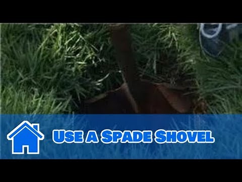 Lawn Help : How to Use a Spade Shovel