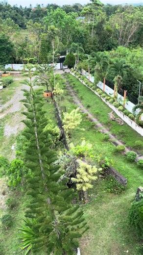 Breathe in the fresh mountain air 🏔️ Escape to our mountain resort! Unwind in cozy cabins, hit the trails, and soak in scenic views. Perfect for nature lovers, hikers, and relaxation seekers. - Cozy cabins - Hiking trails & outdoor activities - Enjoy dining & bonfires Book your mountain getaway! Call or message us! 😊 #fypシfpy #tiktokphilippines #foryourpagetiktok #foryoupage❤️❤️