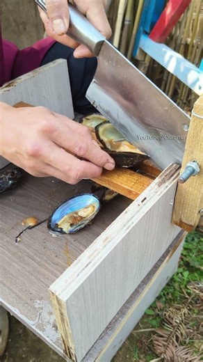 A must-have for Klutzes! Opening clams is this easy.