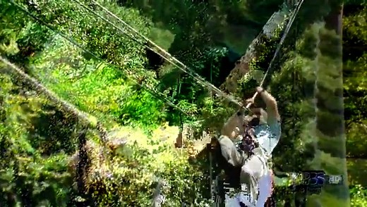 Deep Jungle (Part 1/3) New Frontiers (Nature Documentary)