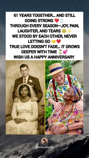 61 Years of Love, Still Going Strong ❤️ | True Love Never Fades 💕💫