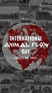 We’re less than 6 weeks out from International Animal Flow Day!!! You can find the current list of confirmed jams here: https://animalflow.com/international-animal-flow-day-2024/ | Animal Flow