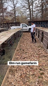 Pbo Sunshine Gamefarm on Reels