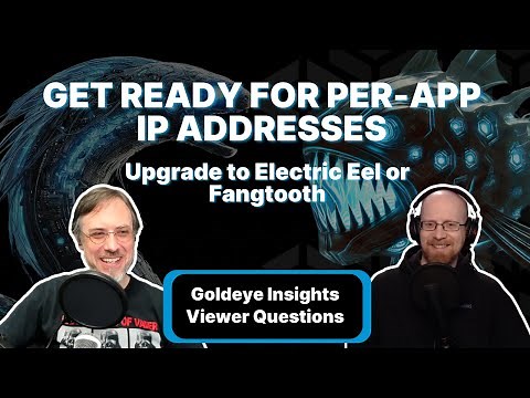 Drop Dragonfish, Goldeye Instances Insights, a Quartet of Questions | TrueNAS Tech Talk (T3) E027