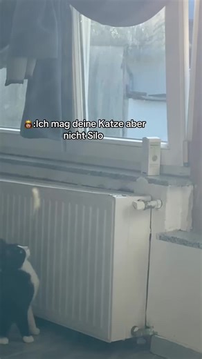 Wieso sie ist doch voll süß 🤪😂#lasstesviralegehen #foryoupagee #gönndochfy #funnytiktok #content