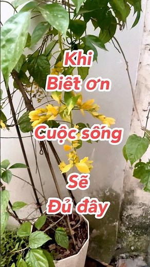 Lời Biết Ơn Giúp Cuộc Sống Đủ Đầy Hơn Mỗi Ngày