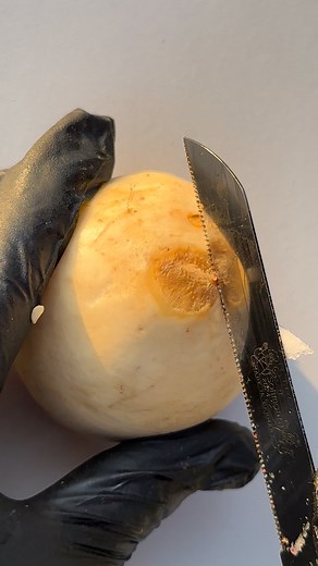 6.3K views · 13 reactions | Amazing fruit cutting design | Fruitninja007 | Facebook