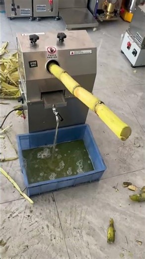 Industrial Sugarcane Juicer Manufacturer: 10 Years of Excellence | Foshan Xinyawen