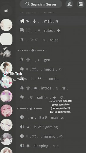 Cute Discord Server Template for You