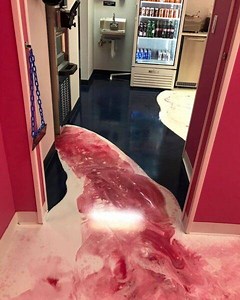 Porcelanato Líquido por Metro Quadrado Preço em 2026