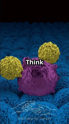 Artemisinin: The Cancer Fighting Wonder Herb?