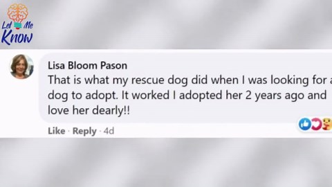 Dog Hugs a Reporter Visiting a Shelter to Do a Story Until He Allegedly Decides to Adopt Her