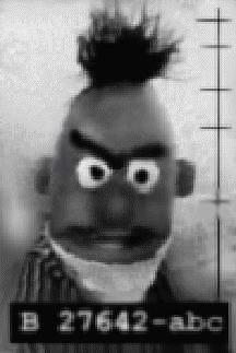 Bert Is Evil! | Know Your Meme