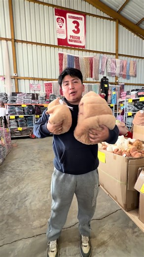 Descubre los mejores peluches musicales en Bodega Mayorista