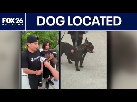 Dog taken at gunpoint located by Houston police