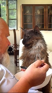 Staring contest. | Mr. ViVo